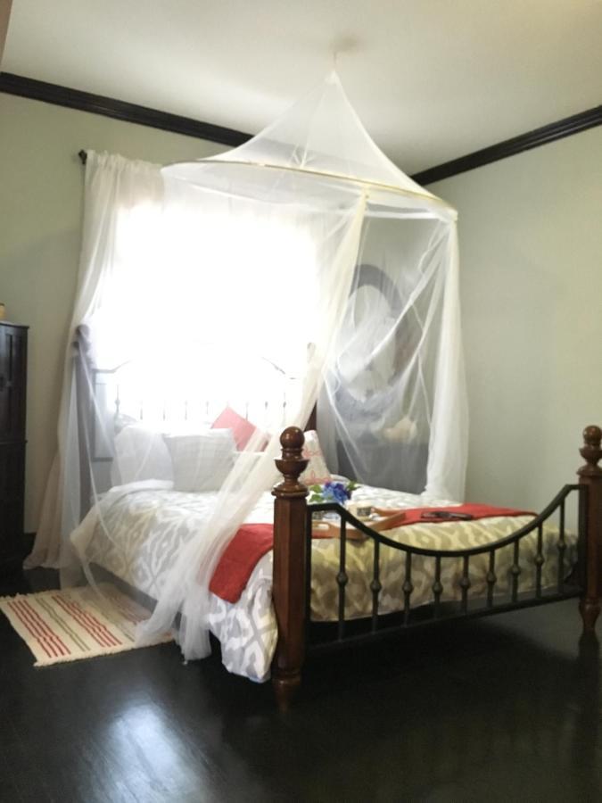 Heavenly Suite In Little Havana Free Parking Miami Eksteriør billede